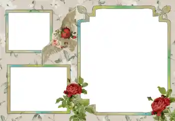 Efekt zdjęciowy z kategorii Różne № 15030 Efekt zdjęciowy z kategorii Różne № 15030