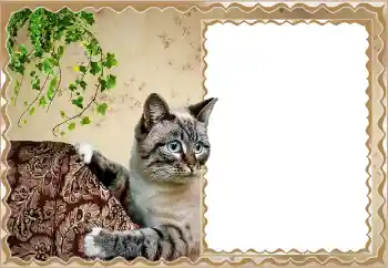 Efekt zdjęciowy z kategorii Różne № 150513 Efekt zdjęciowy z kategorii Różne № 150513