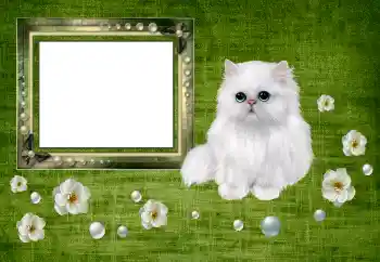 Efekt zdjęciowy z kategorii Różne № 150550