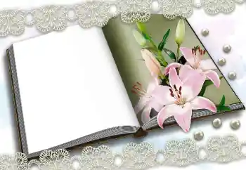 Efekt zdjęciowy z kategorii Różne № 150570