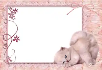 Efekt zdjęciowy z kategorii Różne № 150650