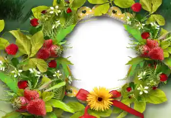 Efekt zdjęciowy z kategorii Różne № 151668