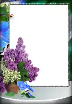 Efekt zdjęciowy z kategorii Różne № 151796