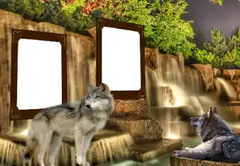 Efekt zdjęciowy z kategorii Różne № 153016