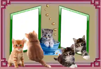 Efekt zdjęciowy z kategorii Różne № 153045