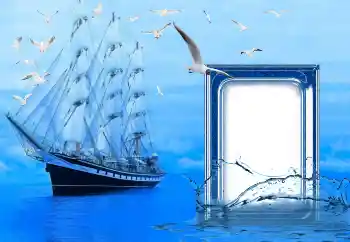 Efekt zdjęciowy z kategorii Różne № 153053