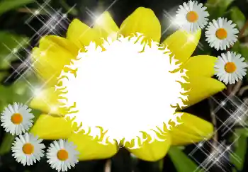 Efekt zdjęciowy z kategorii Różne № 1530