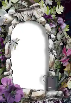 Efekt zdjęciowy z kategorii Różne № 154479