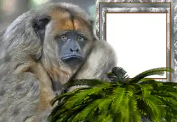 Efekt zdjęciowy z kategorii Różne № 154503