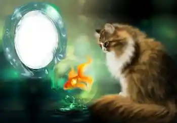 Efekt zdjęciowy z kategorii Różne № 154509