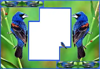 Efekt zdjęciowy z kategorii Różne № 154512