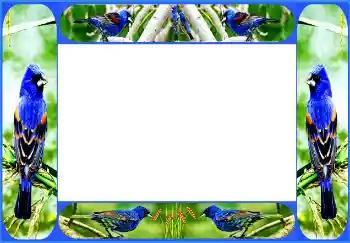 Efekt zdjęciowy z kategorii Różne № 154514