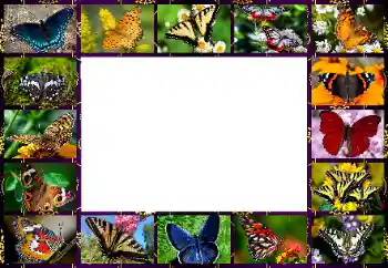 Efekt zdjęciowy z kategorii Różne № 154545 Efekt zdjęciowy z kategorii Różne № 154545