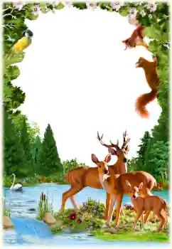 Efekt zdjęciowy z kategorii Różne № 154547 Efekt zdjęciowy z kategorii Różne № 154547