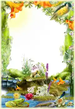 Efekt zdjęciowy z kategorii Różne № 154548 Efekt zdjęciowy z kategorii Różne № 154548