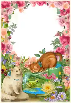 Efekt zdjęciowy z kategorii Różne № 154549 Efekt zdjęciowy z kategorii Różne № 154549