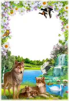 Efekt zdjęciowy z kategorii Różne № 154550 Efekt zdjęciowy z kategorii Różne № 154550