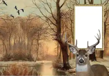 Efekt zdjęciowy z kategorii Różne № 154607