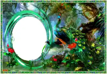 Efekt zdjęciowy z kategorii Różne № 154704