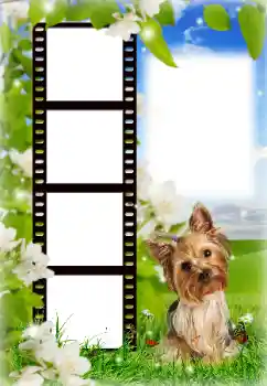 Efekt zdjęciowy z kategorii Różne № 154718