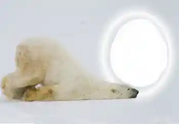 Efekt zdjęciowy z kategorii Różne № 154735