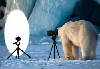 Efekt zdjęciowy z kategorii Różne № 154736