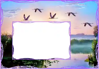 Efekt zdjęciowy z kategorii Różne № 154759