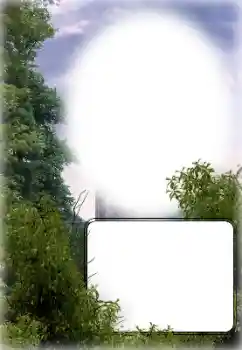 Efekt zdjęciowy z kategorii Różne № 154780