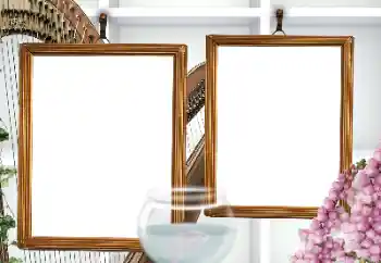 Efekt zdjęciowy z kategorii Różne № 155807