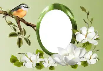 Efekt zdjęciowy z kategorii Różne № 155868