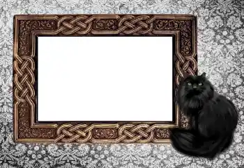 Efekt zdjęciowy z kategorii Różne № 155997