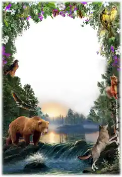 Efekt zdjęciowy z kategorii Różne № 157061