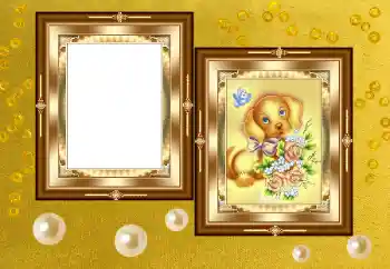 Efekt zdjęciowy z kategorii Różne № 158391