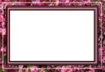 Efekt zdjęciowy z kategorii Różne № 158431