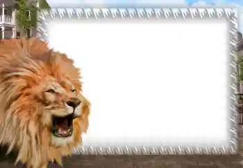 Efekt zdjęciowy z kategorii Różne № 158462