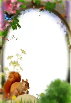 Efekt zdjęciowy z kategorii Różne № 158476