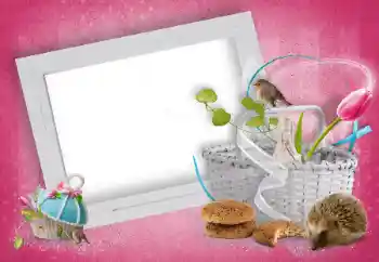 Efekt zdjęciowy z kategorii Różne № 15919