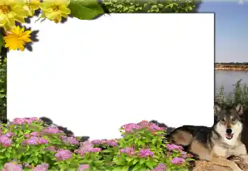 Efekt zdjęciowy z kategorii Różne № 159462