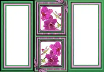 Efekt zdjęciowy z kategorii Różne № 160589