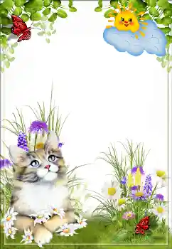 Efekt zdjęciowy z kategorii Różne № 160659