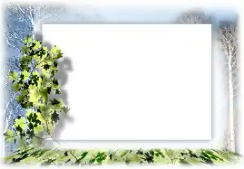 Efekt zdjęciowy z kategorii Różne № 160744