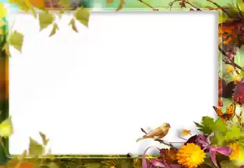 Efekt zdjęciowy z kategorii Różne № 160773