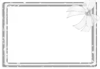 Efekt zdjęciowy z kategorii Różne № 160788