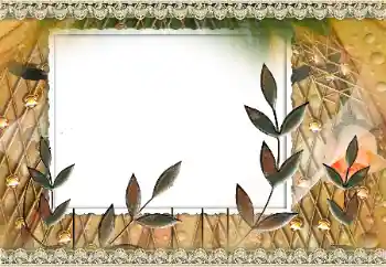 Efekt zdjęciowy z kategorii Różne № 160810