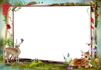 Efekt zdjęciowy z kategorii Różne № 160840