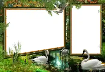 Efekt zdjęciowy z kategorii Różne № 160922 Efekt zdjęciowy z kategorii Różne № 160922