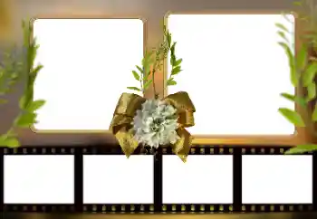 Efekt zdjęciowy z kategorii Różne № 161948 Efekt zdjęciowy z kategorii Różne № 161948