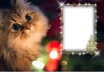 Efekt zdjęciowy z kategorii Różne № 162030 Efekt zdjęciowy z kategorii Różne № 162030