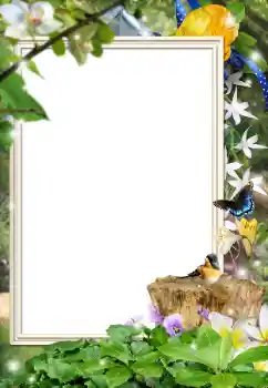 Efekt zdjęciowy z kategorii Różne № 162044 Efekt zdjęciowy z kategorii Różne № 162044