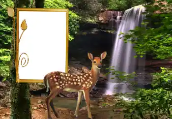 Efekt zdjęciowy z kategorii Różne № 163220 Efekt zdjęciowy z kategorii Różne № 163220